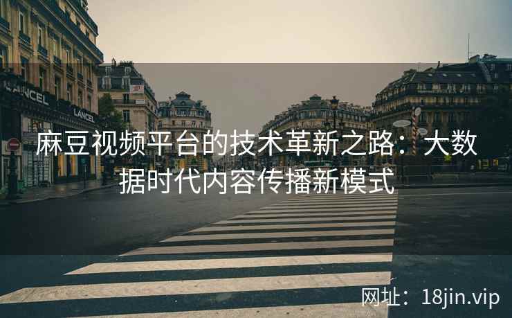麻豆视频平台的技术革新之路：大数据时代内容传播新模式