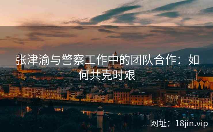 张津渝与警察工作中的团队合作：如何共克时艰