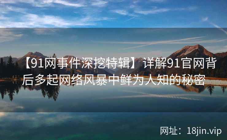 【91网事件深挖特辑】详解91官网背后多起网络风暴中鲜为人知的秘密