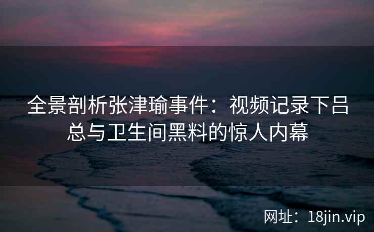 全景剖析张津瑜事件：视频记录下吕总与卫生间黑料的惊人内幕