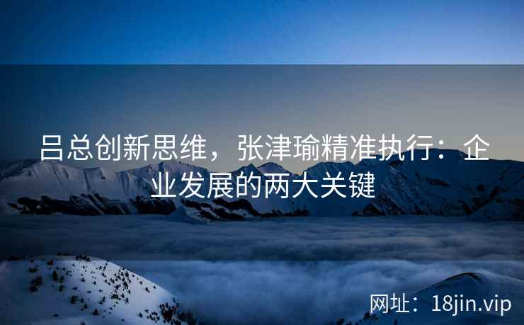吕总创新思维，张津瑜精准执行：企业发展的两大关键